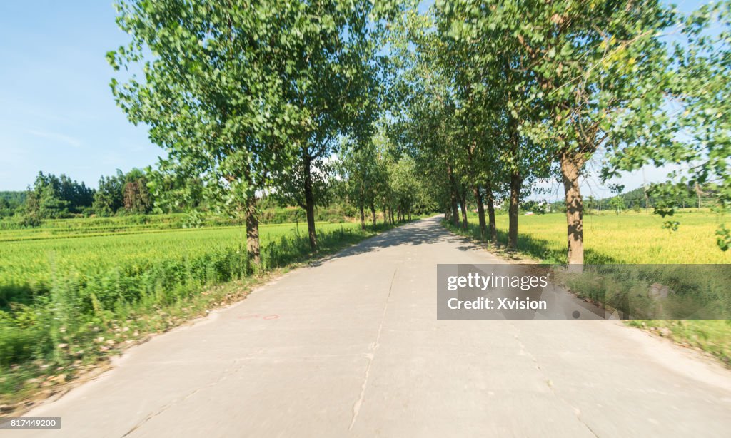 Asphalt road under blue sky with clouds in motion blur with plants in sides