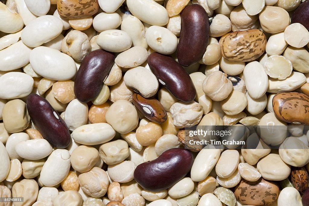 Beans and Pulses, London, UK