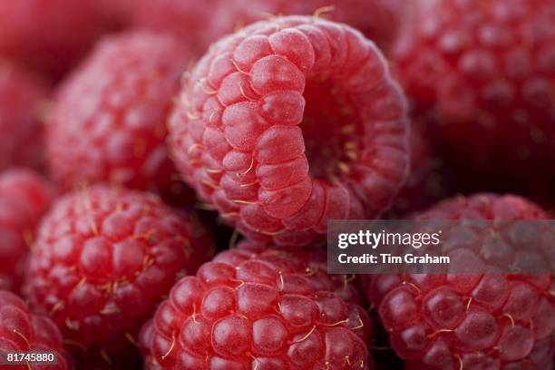 Raspberries, London, England, United Kingdom