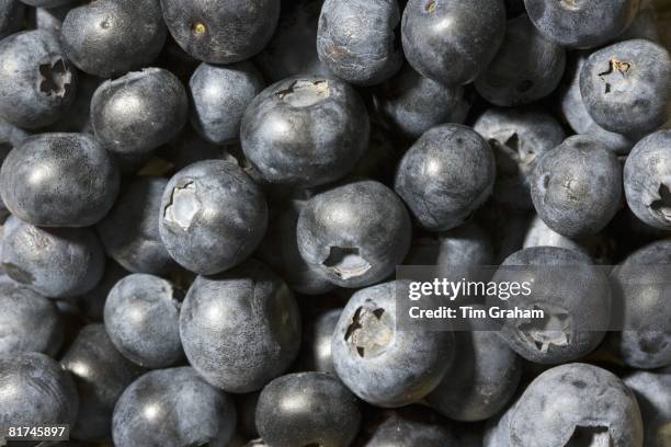 Blueberries, London, England, United Kingdom