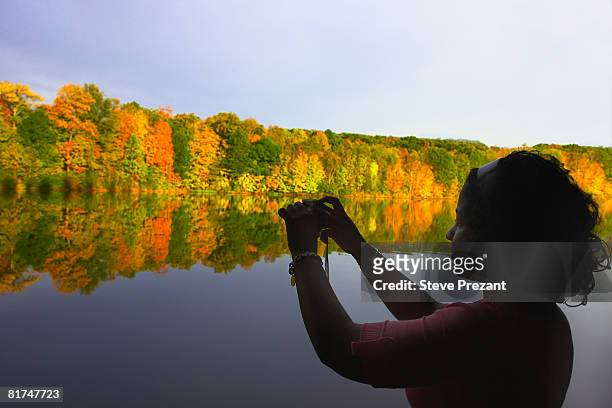 woman photographing autumn trees - steve prezant stock pictures, royalty-free photos & images