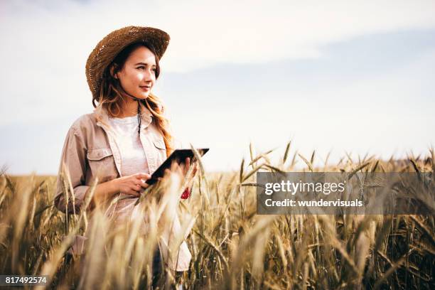 engenheiro agrônomo da fazenda feminina verificando um campo agrícola usando um tablet - agronomist - fotografias e filmes do acervo