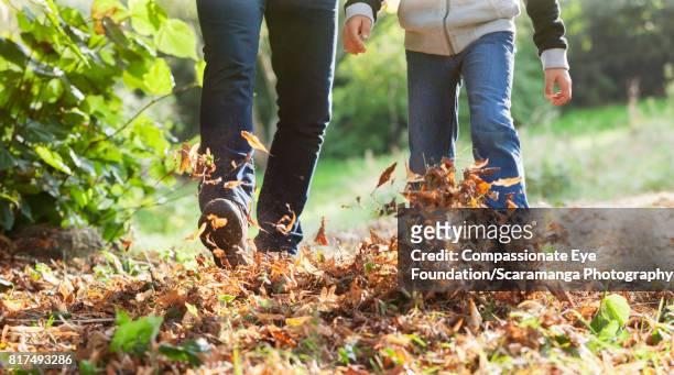 father and son walking in autumn leaves - sussex autumn stock pictures, royalty-free photos & images