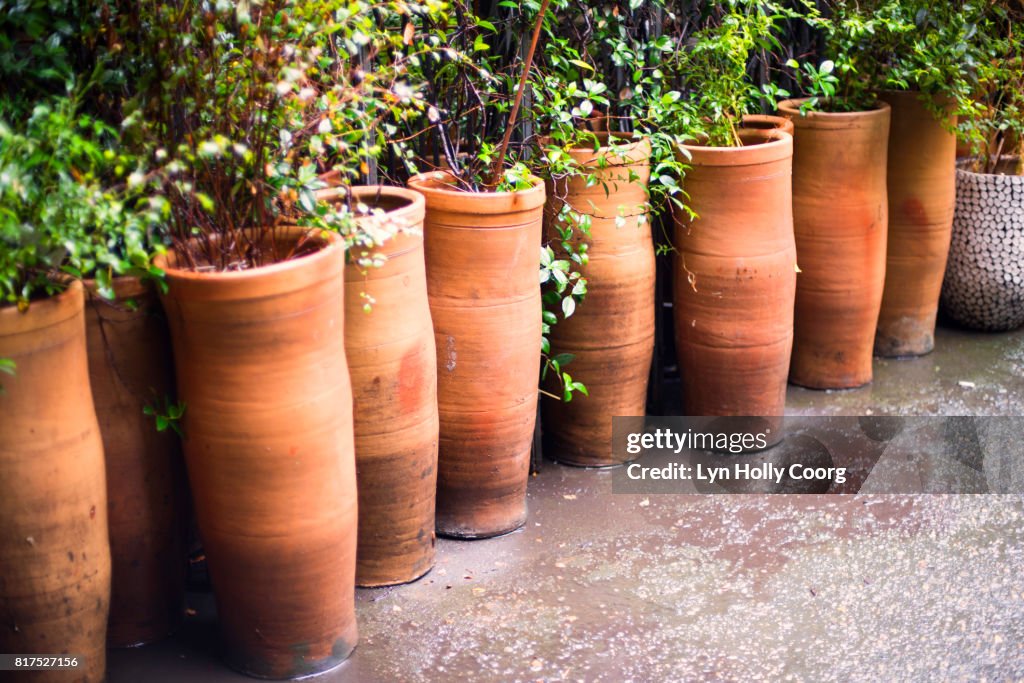 Terracotta pots in a line in the rain