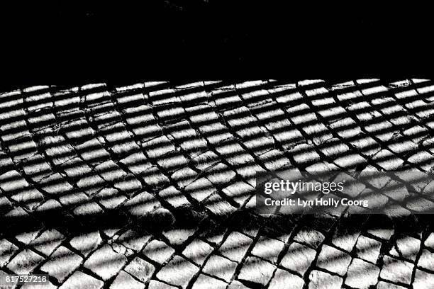 black and white patterns on cobbled street - lyn holly coorg - fotografias e filmes do acervo