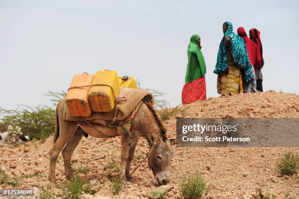 Somali women gather to fetch water at a traditional cistern for harvesting rainwater, called a berkad, made by the Irish charity Concern-Worldwide as...