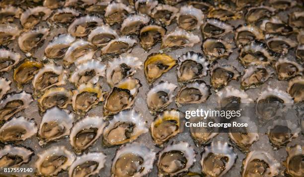 Oysters on the half shell are viewed at a local restaurant on June 25 near Jenner, California. After record winter and spring rainfall battered the...