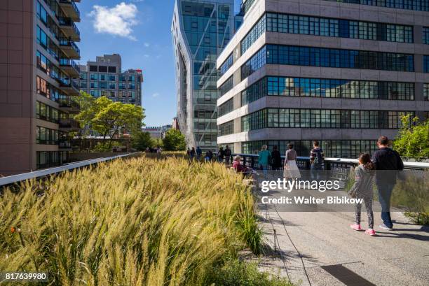 usa, new york, exterior - high line stock pictures, royalty-free photos & images