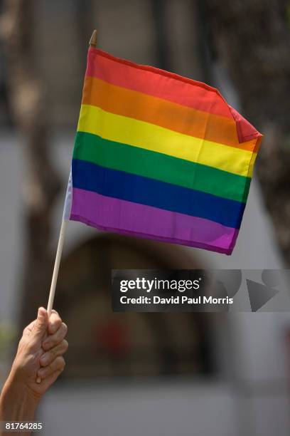 Reveler holds a gay pride flag during the 38th Annual San Francisco Lesbian, Gay, Bisexual, Transgender Pride Celebration & Parade on Market Street...