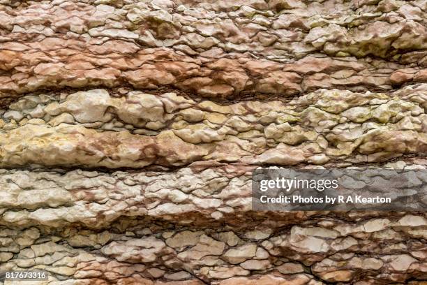 rock strata in chalk cliffs - chalk strata stock pictures, royalty-free photos & images