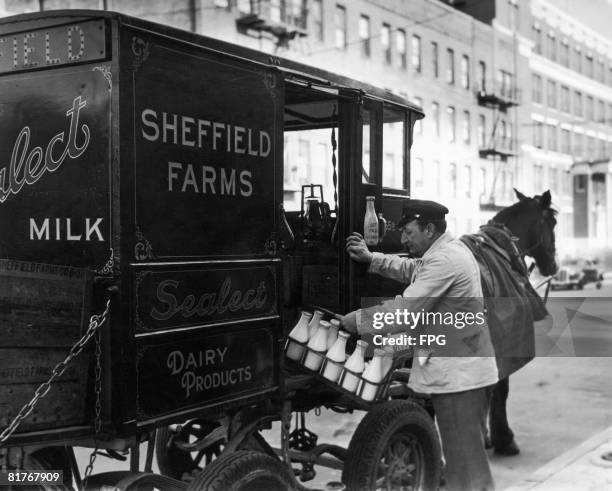 Milkman delivering milk from the Sheffield Farms Milk Company, with a horsedrawn cart, New York, circa 1930.