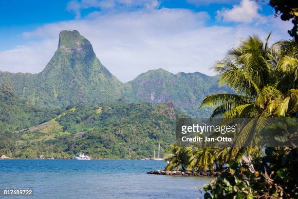 cook bay with mount mouaputa on moorea, french polynesia - moorea stock pictures, royalty-free photos & images