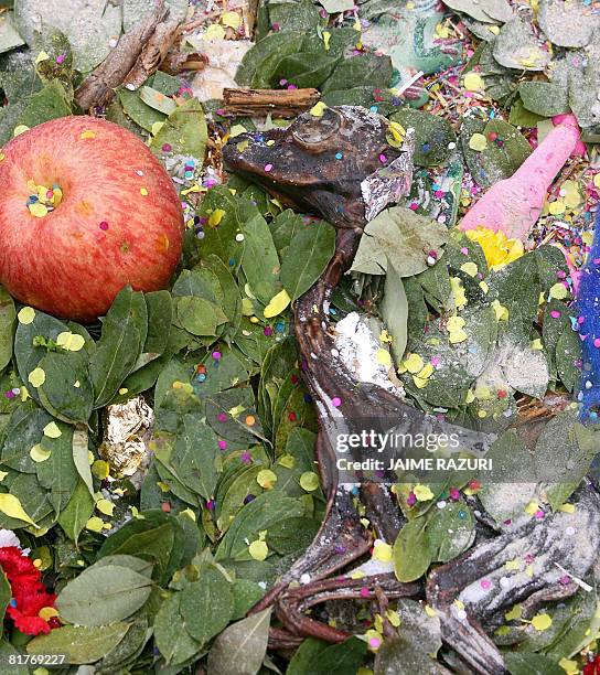 The fetus of an alpaca lies amidst coca leaves for an offering during celebrations of the Peruvian Indigenous Day and winter solstice at a popular...