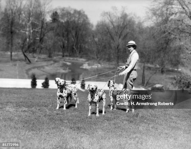 woman walking four leashed dogs dalmation spots on lawn of park or country estate pond spring trees upscale tatoo kennels hatboro pa. - hatboro photos et images de collection