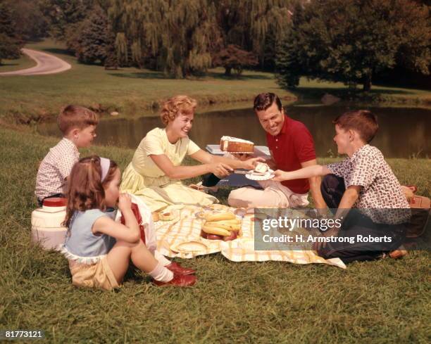 family picnic. - 1950's stock pictures, royalty-free photos & images