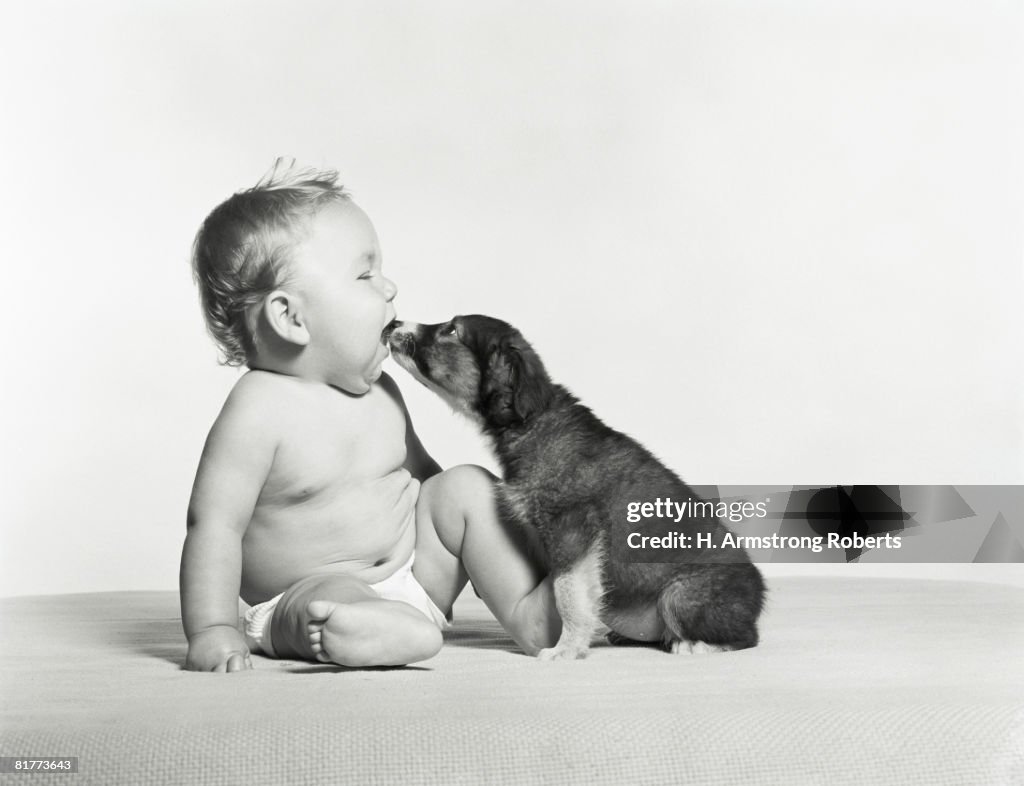 Dog licking baby.