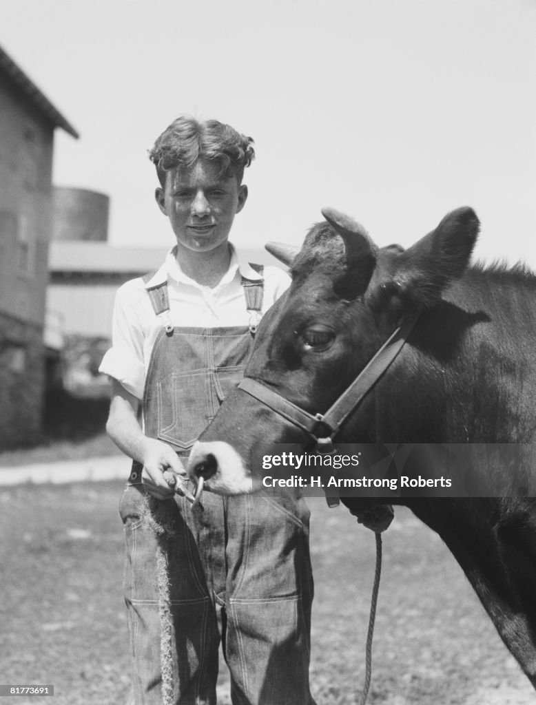 Teenage farm boy wearing bib overalls, holding Jersey bull.