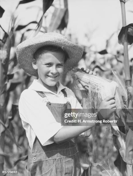 teenage farm boy wearing bib overalls and straw hat, standing in corn field, holding corn cob. - bib overalls stockfoto's en -beelden