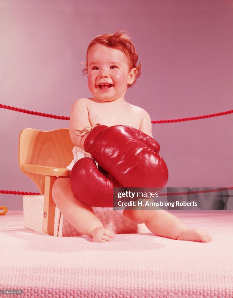 Baby sat on chair in boxing ring, wearing boxing gloves, smiling. (Photo by H. Armstrong Roberts/Retrofile/Getty Images)