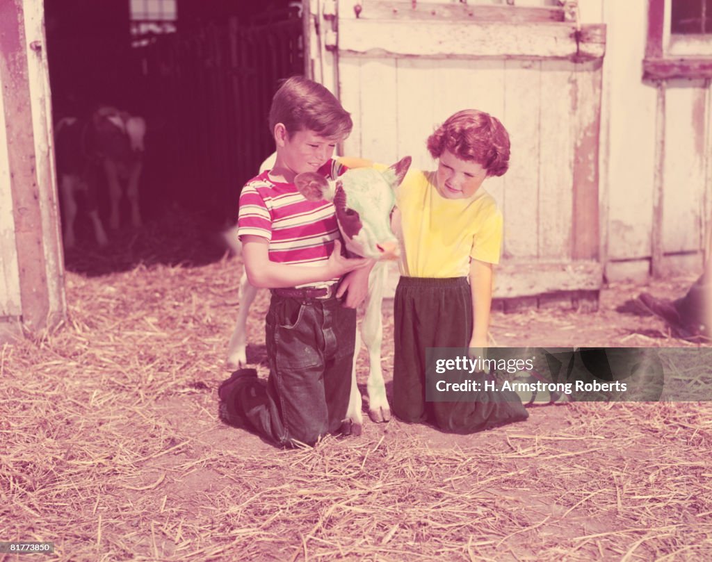 Boy and girl kneeling straw in barn, with Jersey cow calf. (Photo by H. Armstrong Roberts/Retrofile/Getty Images)