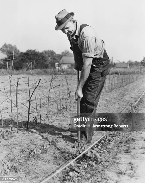 farmer tilling soil on farm. - 1940 stock pictures, royalty-free photos & images