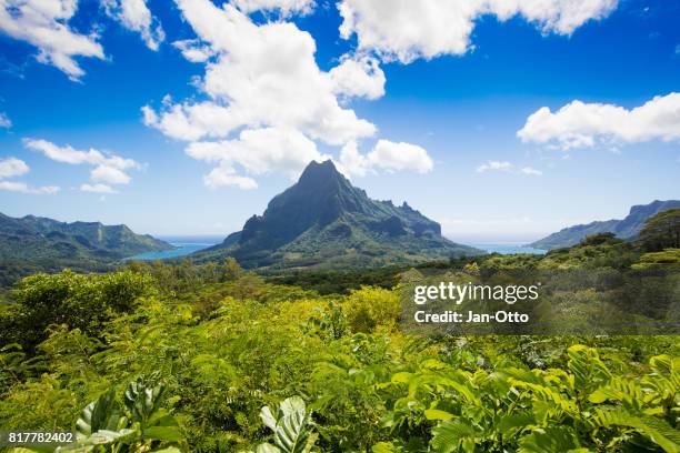 island of moorea with mount rotui, french polynesia - moorea stock pictures, royalty-free photos & images