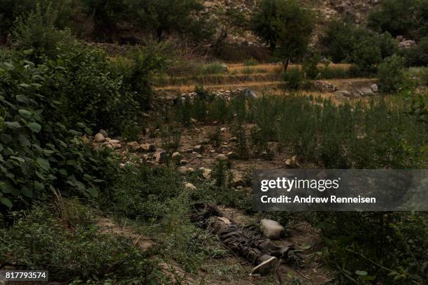 The body of an ISIS-K fighter killed by an airstrike lays on the ground a few hundred meters from where the GBU-43/B Massive Ordnance Air Blast,...