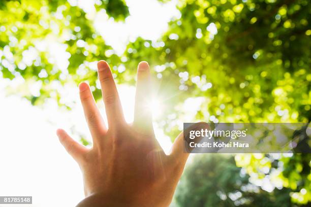 man's hand in back light in forest - back lit hand stock pictures, royalty-free photos & images