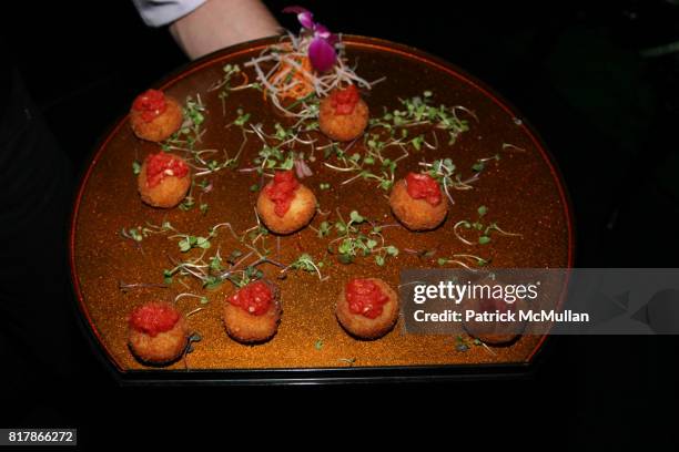 Catering attends INFA Energy Brokers, LLC celebrates the release of BRAD SCHAEFFER's "Hummel's Cross" at Provocateur on September 24, 2010 in New...