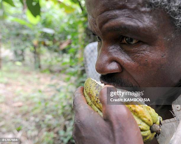 Godilehiri, des planteurs de cacao soulages par la lutte anticorruption by David Youant A producer eats a cocoa dent in his plantation in the village...