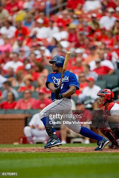 Jose Guillen of the Kansas City Royals hits against the St. Louis Cardinals on June 19, 2008 at Busch Stadium in St. Louis, Missouri. The Royals beat...