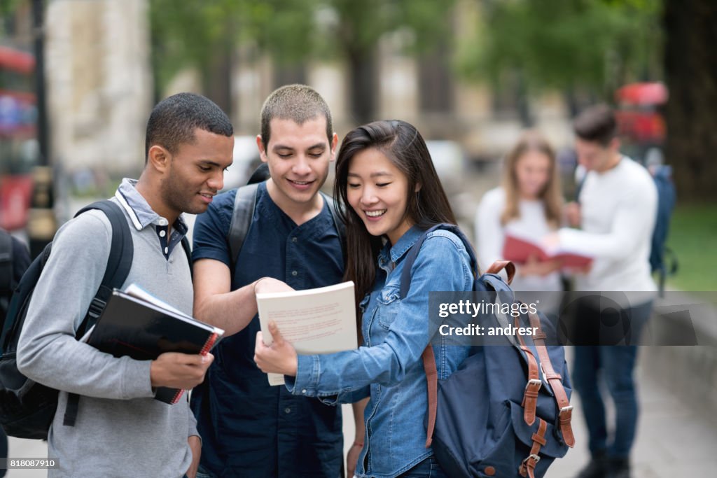 Multi-ethnic group of students studying outdoors
