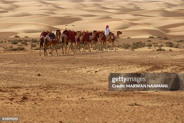 Camels are guided in the middle of the desert towards al-Maha natural reserve and resort, some 100 kms south of Dubai, to pick up guests for a sunset...