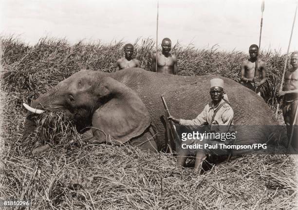 The end of an elephant hunt in Africa, circa 1920.