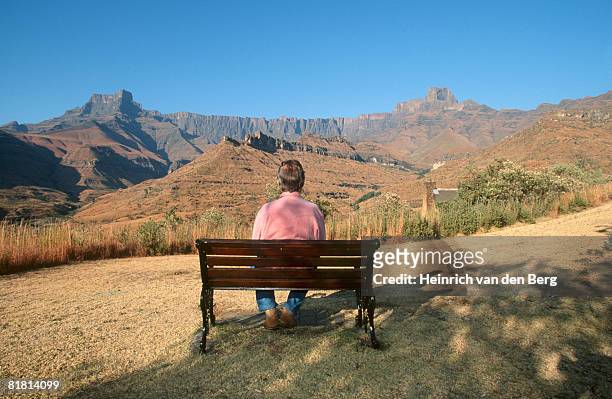 tourist enjoying the view of the drakensberg amphitheatre in kwazulu natal province, south africa  - freek van den bergh stock pictures, royalty-free photos & images