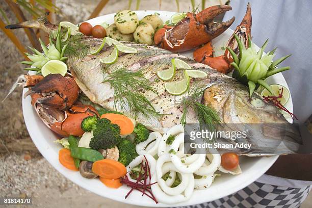 close up of seafood platter. quilelea island, mozambique. - seafood platter bildbanksfoton och bilder
