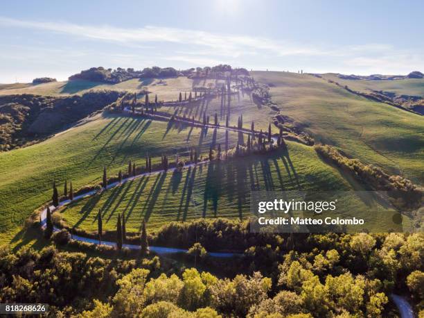 aerial drone view of cypress tree lined winding road in tuscany, italy - s shape stock pictures, royalty-free photos & images