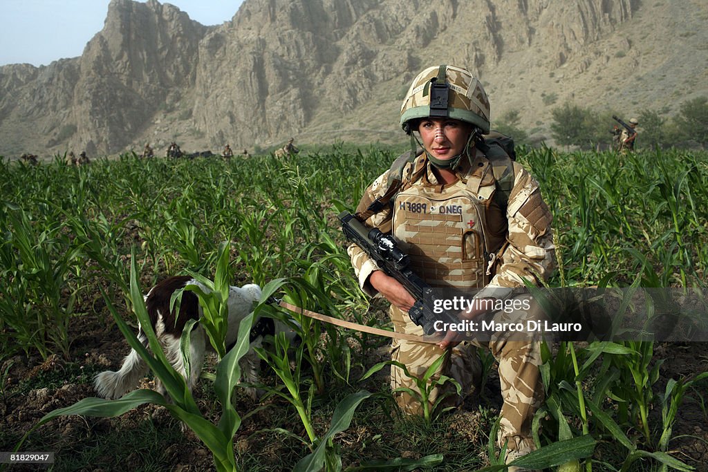 British Paratroopers Conduct Operation To Capture Taliban Leaders