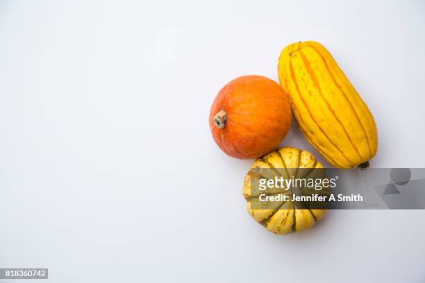 autumn vegetables - squash fotografías e imágenes de stock