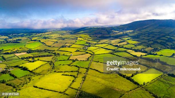aerial view of irish rural scene on sunny summer day in tipperary fields. - rural scene photos et images de collection