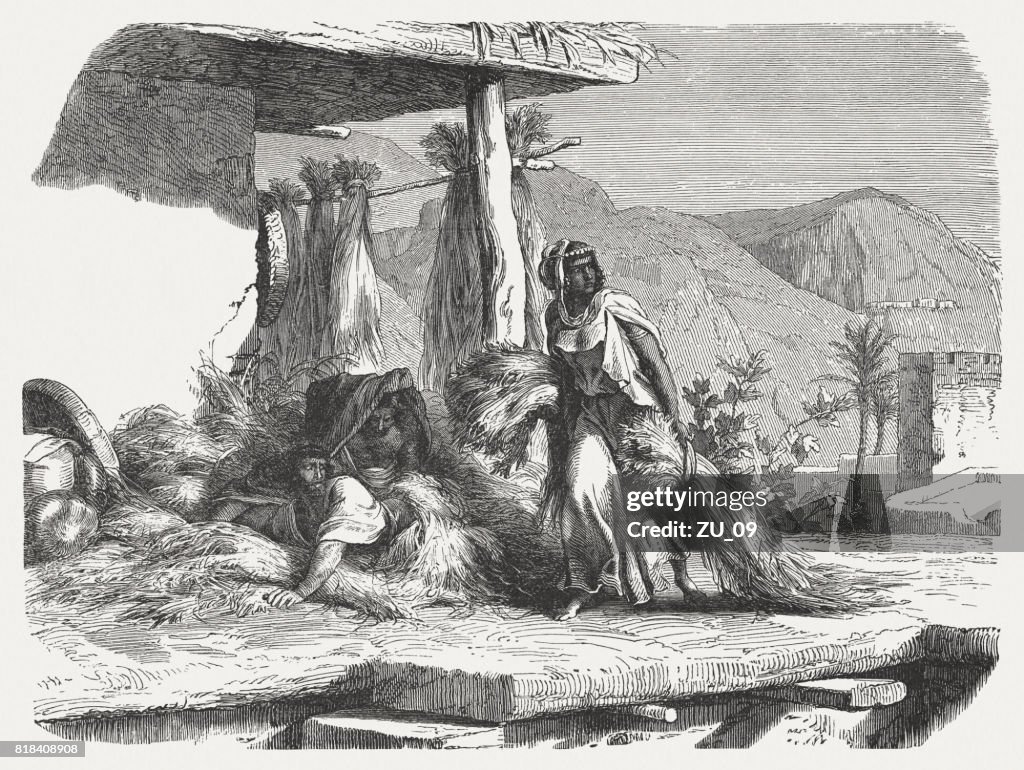 Rahab Graphics Rahab Hides The Spies Wood Engraving Published 1886 High-Res Vector ...