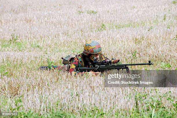 belgian paratroopers on guard in the fields. - scanning awareness reconnaisance stockfoto's en -beelden