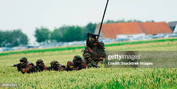 belgian paracommandos. - scanning awareness reconnaisance stock pictures, royalty-free photos & images