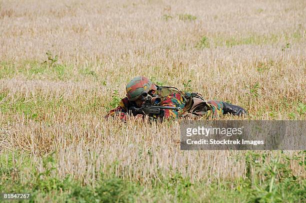 belgian paratroopers on guard in the fields. - scanning awareness reconnaisance stockfoto's en -beelden