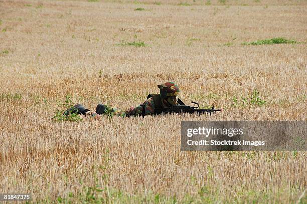 belgian paratroopers on guard in the fields. - scanning awareness reconnaisance stockfoto's en -beelden