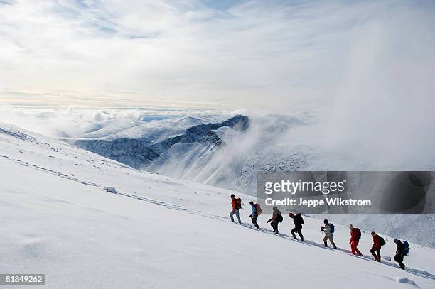 a group of people climbing kebnekaise sweden. - caucasian mountain climber man stock-fotos und bilder