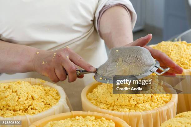 Production of mimolette du Wint cheese, also known as the 'vieux Hollande' or 'boule de Lille' cheese, a hard cow's milk cheese.