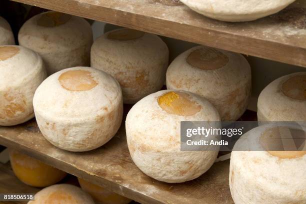 Cheese called Mimolette du Wint, also known as the 'vieux Hollande' or 'boule de Lille' cheese.