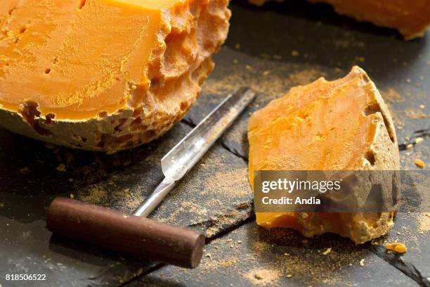 Piece of de mimolette cheese and cheese borer.