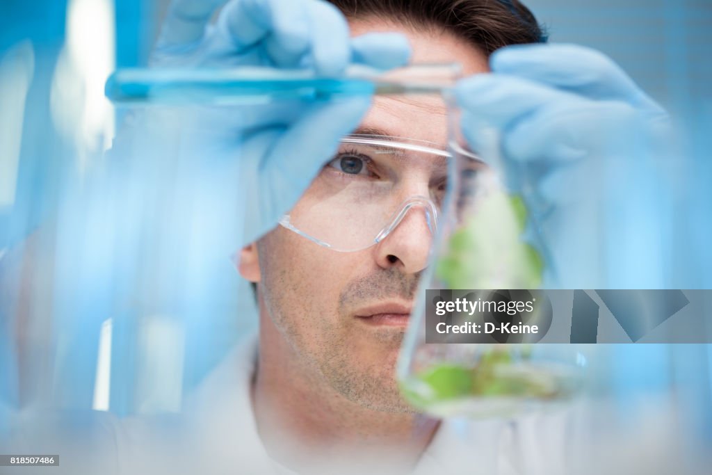 Laboratory